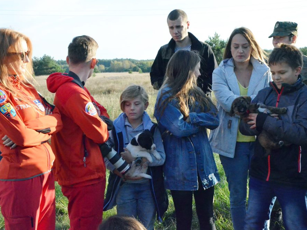 Dzień Dobry TVN w Grochowicach. Znów głośno o historii tych szczeniaków