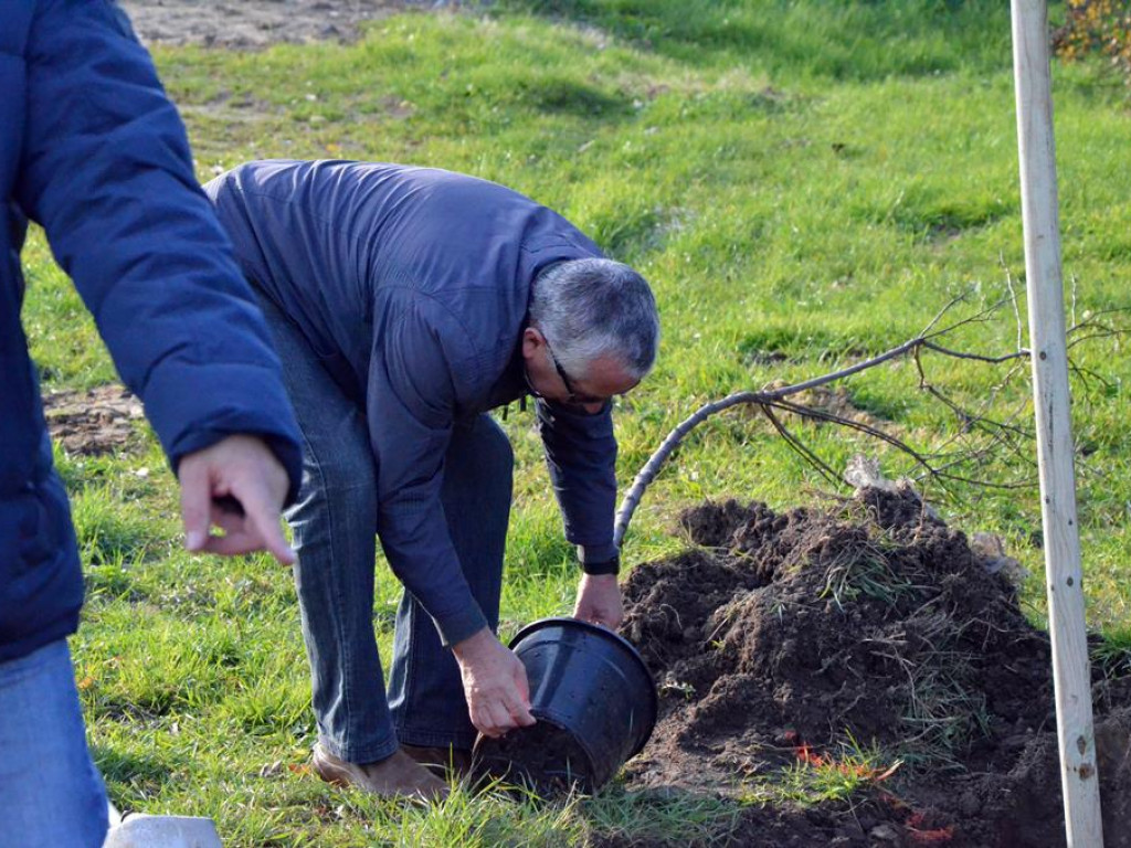 Posadzili kolejne drzewa i krzewy w parku 100-lecia Odzyskania Niepodległości