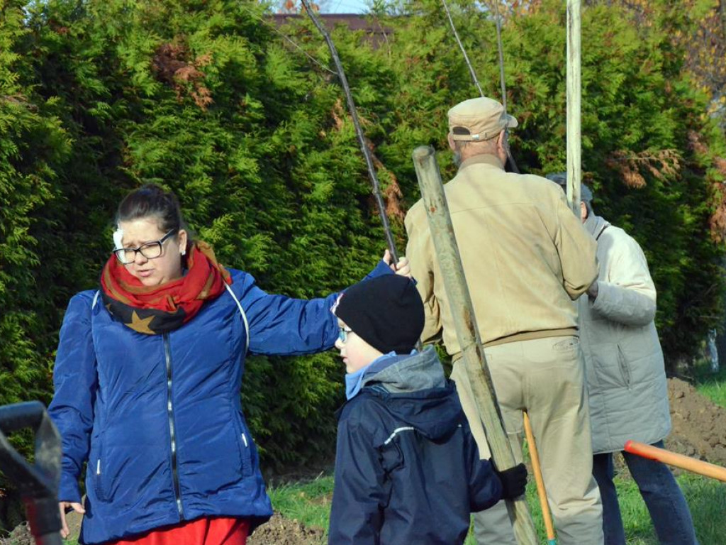 Posadzili kolejne drzewa i krzewy w parku 100-lecia Odzyskania Niepodległości