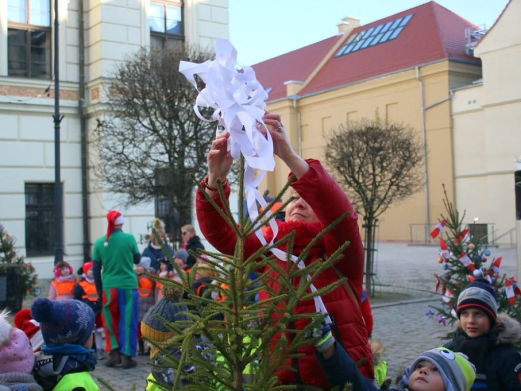 Najmłodsi głogowianie stroili choinki. Dziś na rynku wiele atrakcji