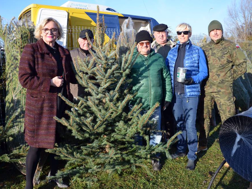 Choinki za wrzutkę do skarbonki fundacji. To finał świątecznej akcji