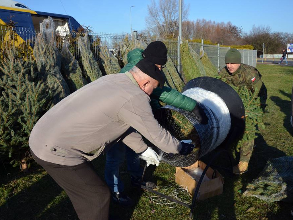 Choinki za wrzutkę do skarbonki fundacji. To finał świątecznej akcji