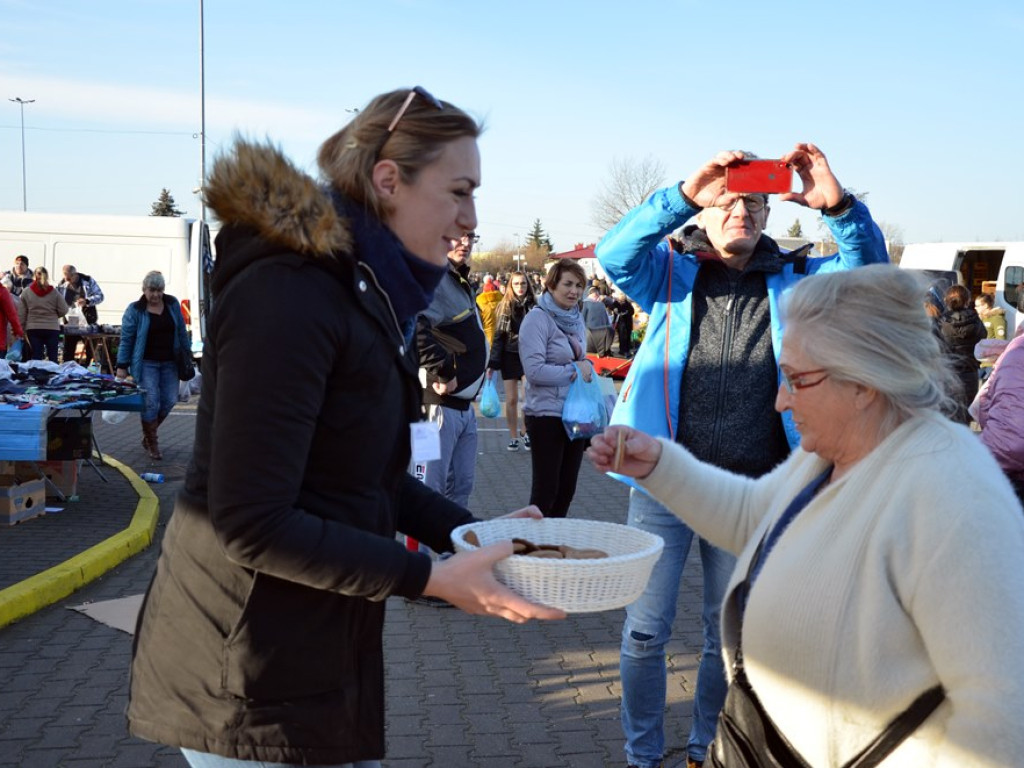 Choinki za wrzutkę do skarbonki fundacji. To finał świątecznej akcji