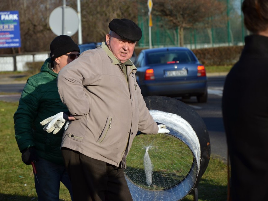 Choinki za wrzutkę do skarbonki fundacji. To finał świątecznej akcji