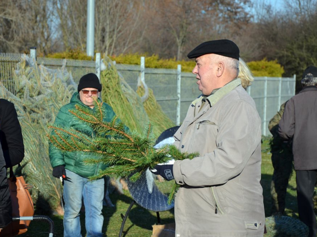 Choinki za wrzutkę do skarbonki fundacji. To finał świątecznej akcji