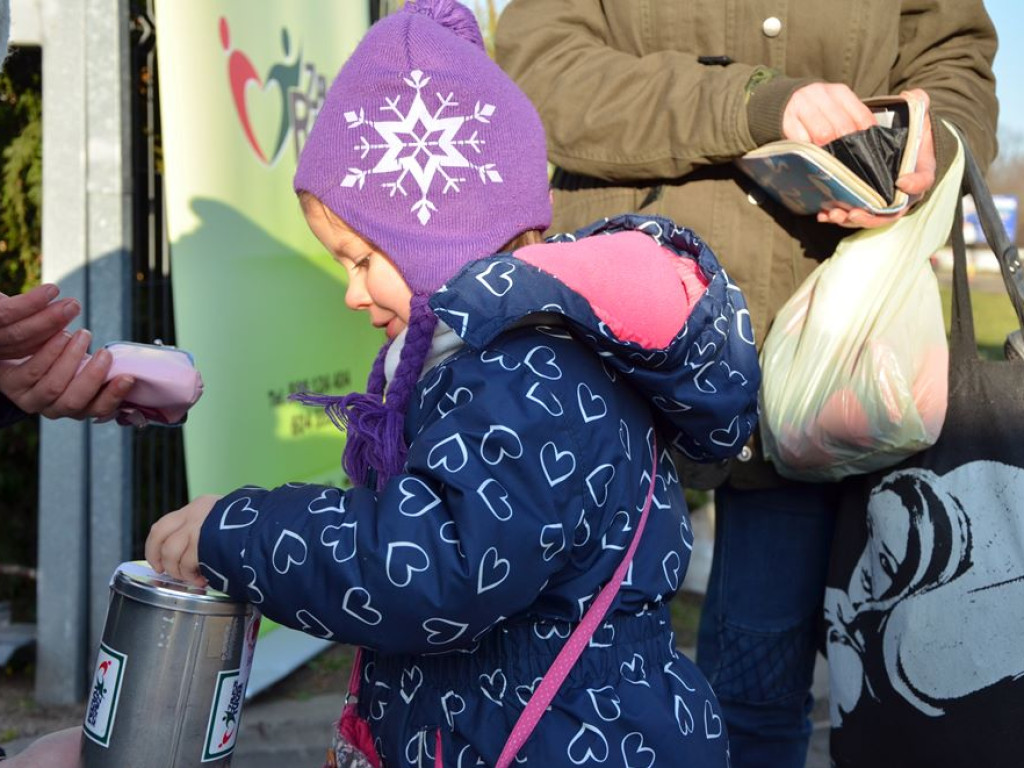 Choinki za wrzutkę do skarbonki fundacji. To finał świątecznej akcji