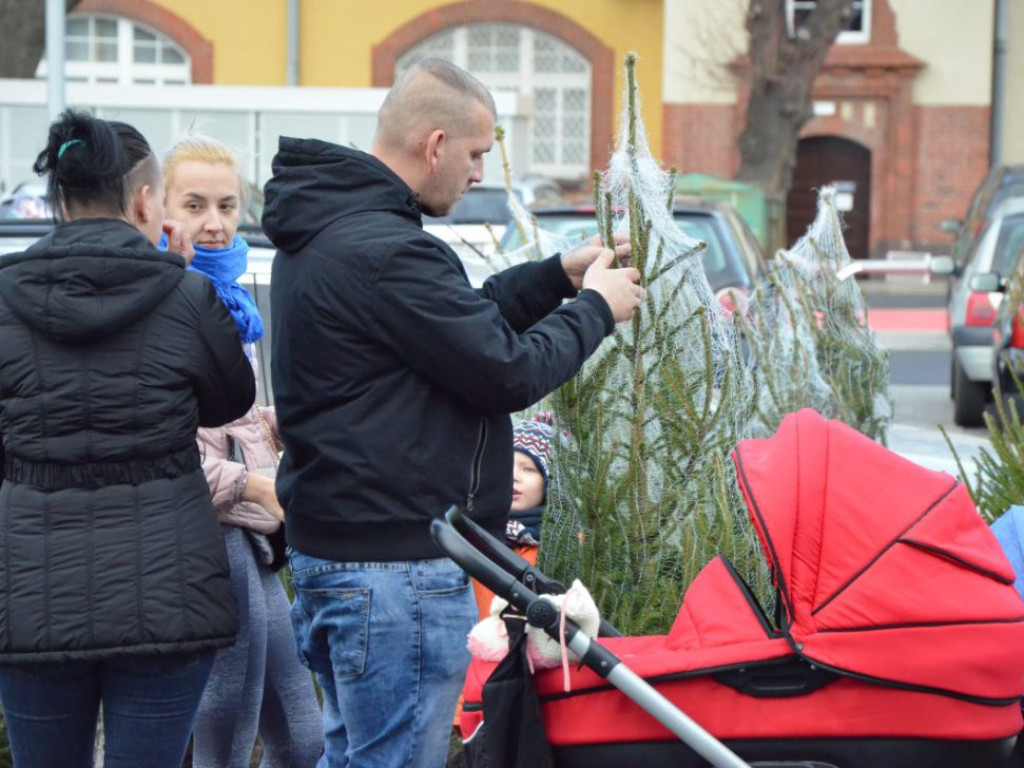 Święty Mikołaj w MultiBox Głogów rozdał setki prezentów i choinek. Świetna zabawa dla całych rodzin