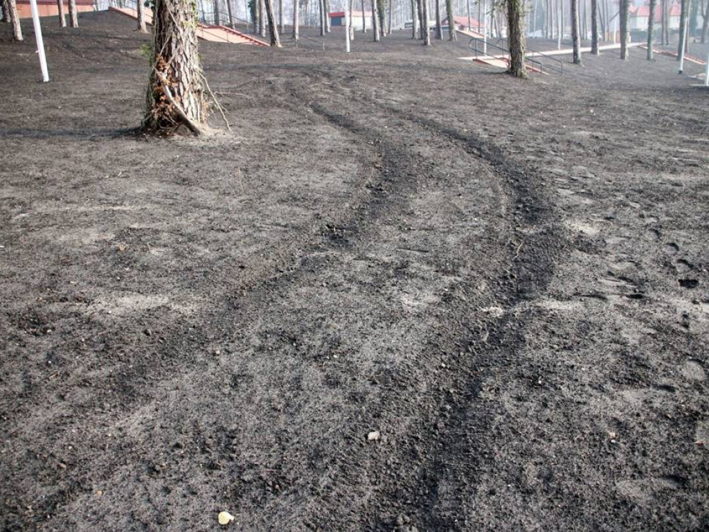 Ktoś urządził sobie rajd samochodem po nowej plaży w Sławie. Duże zniszczenia