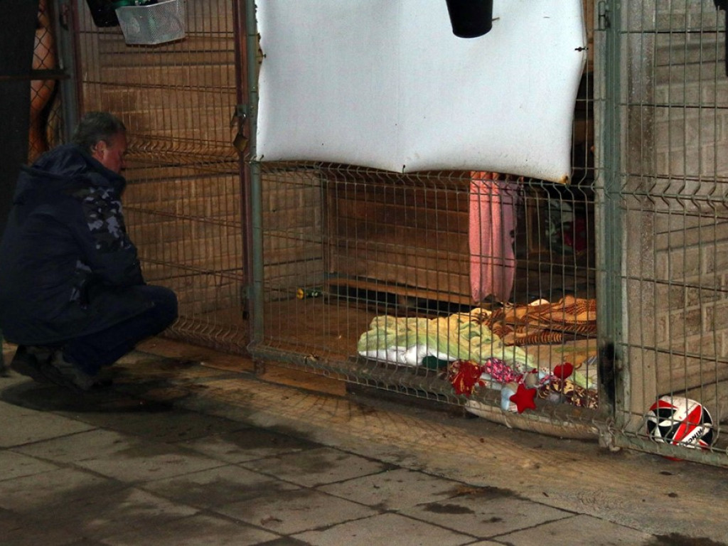 Sylwestrową noc spędzili z psami i kotami z Amicusa, by dodać im otuchy