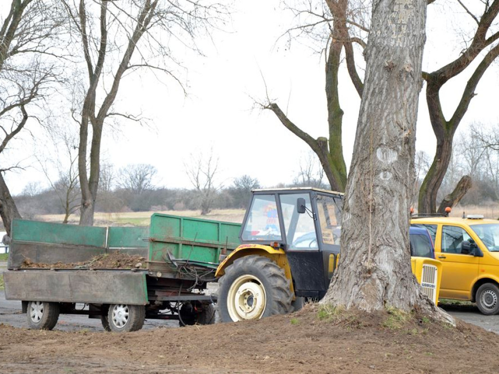 Dni Głogowa na Placu Festynowym. To dopiero w czerwcu, ale już trwają przygotowania terenu do tej imprezy