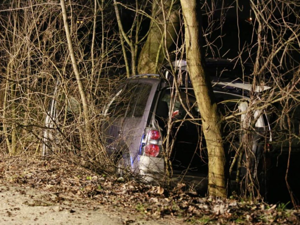 Poważny wypadek. Poszkodowane są trzy osoby. Samochód wyleciał z drogi i wbił się w drzewo