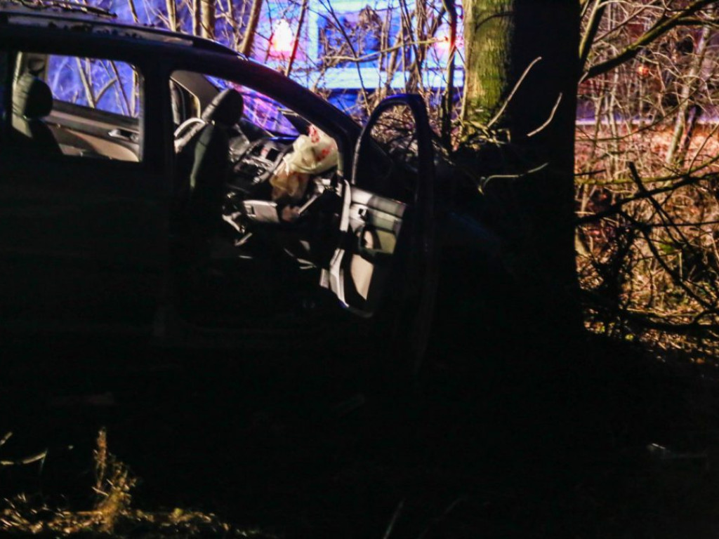 Poważny wypadek. Poszkodowane są trzy osoby. Samochód wyleciał z drogi i wbił się w drzewo