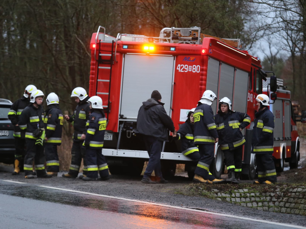 Powalone drzewa, zerwane linie energetyczne, zablokowane drogi. Strażacy mają pełne ręce roboty