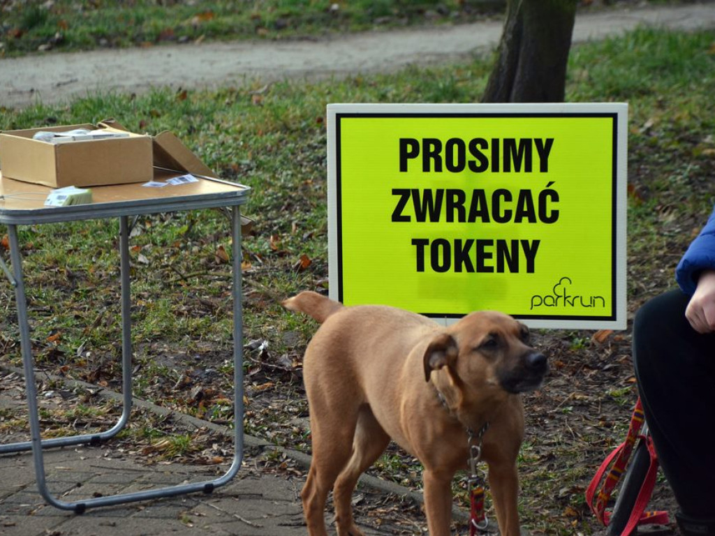 Walentynkowy bieg w parku przy ulicy Budowlanych! Na starcie nie zabrakło pocałunków