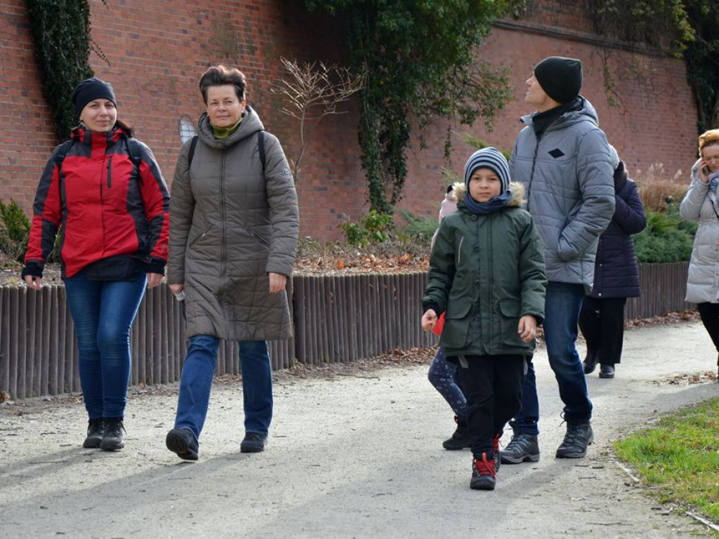 Miasto nad Odrą, czyli spacer nadbrzeżem i zwiedzanie zakamarków Głogowa