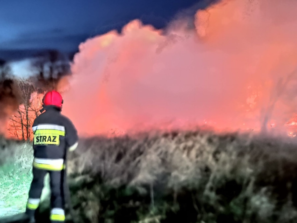 Znów płoną trawy nad Odrą. Sprawcy uciekli