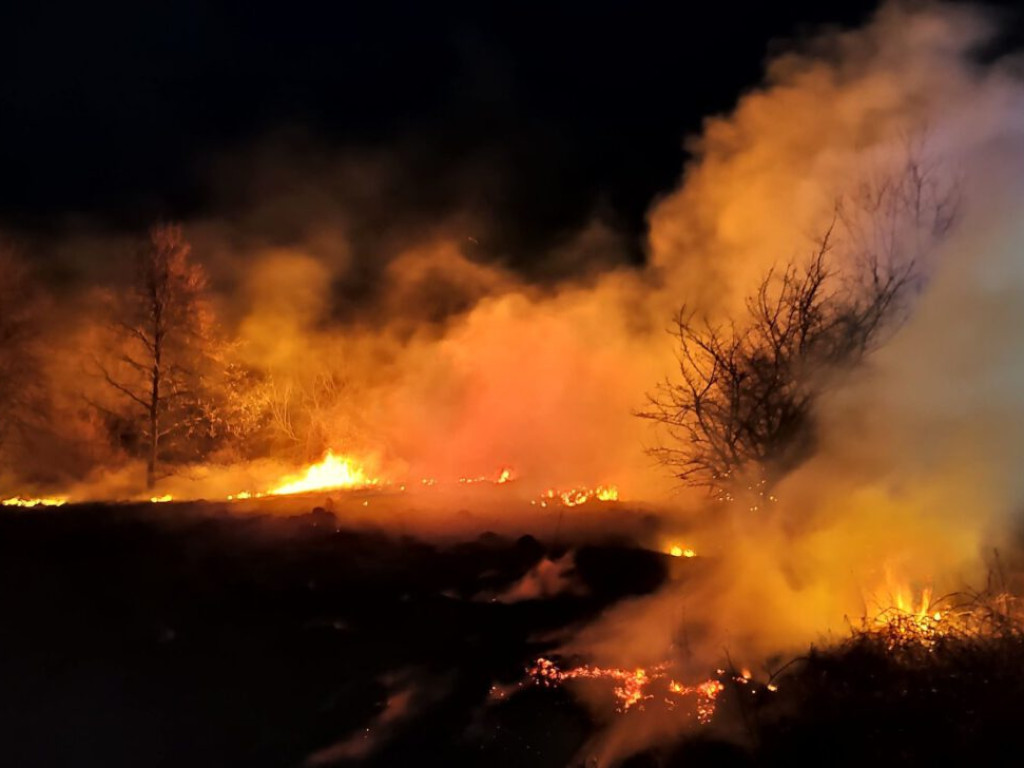 Znów płoną trawy nad Odrą. Sprawcy uciekli