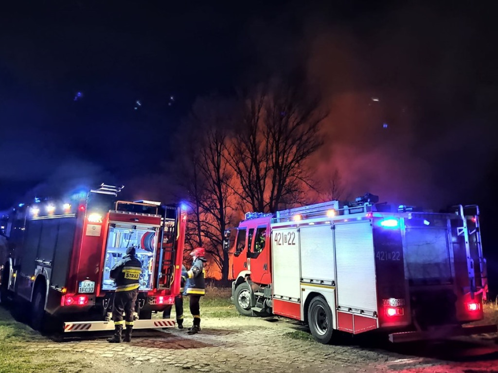 Znów płoną trawy nad Odrą. Sprawcy uciekli