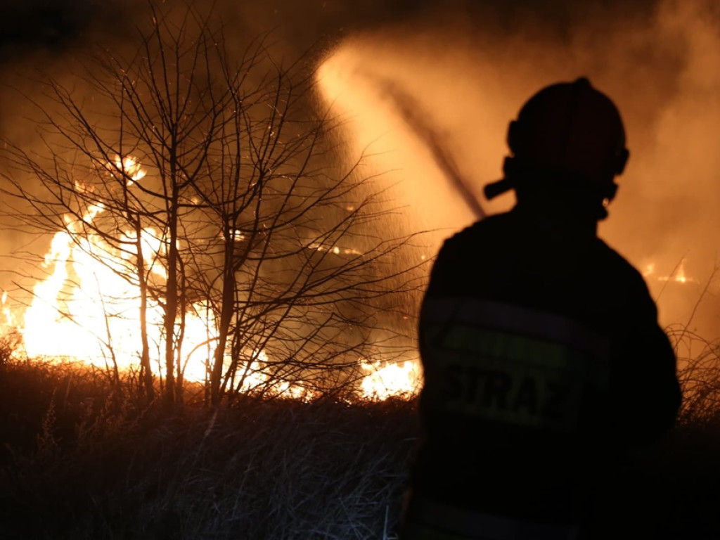 Znów płoną trawy nad Odrą. Sprawcy uciekli