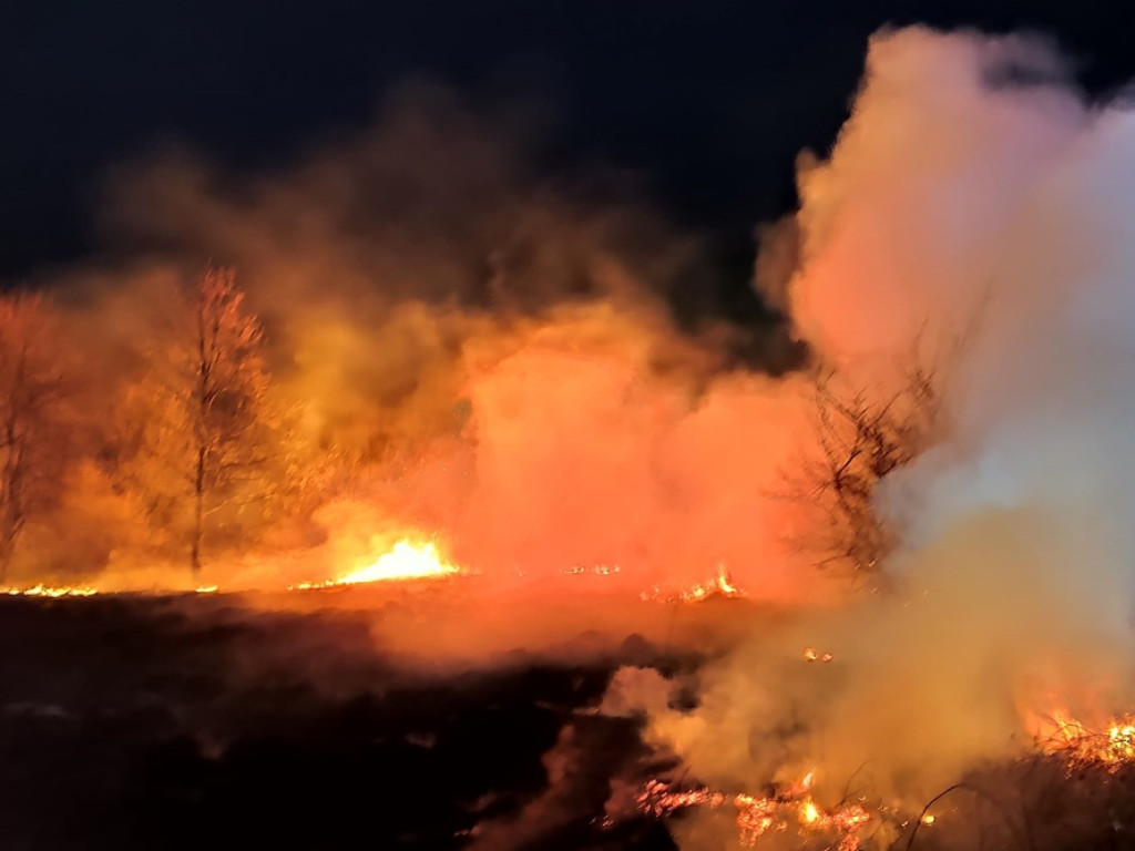 Znów płoną trawy nad Odrą. Sprawcy uciekli