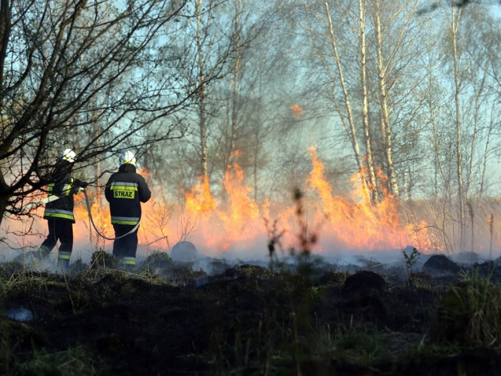 Pożar traw koło Żukowic. Udział w akcji wzięły dwa OSP z Brzegu Głogowskiego i Dobrzejowic