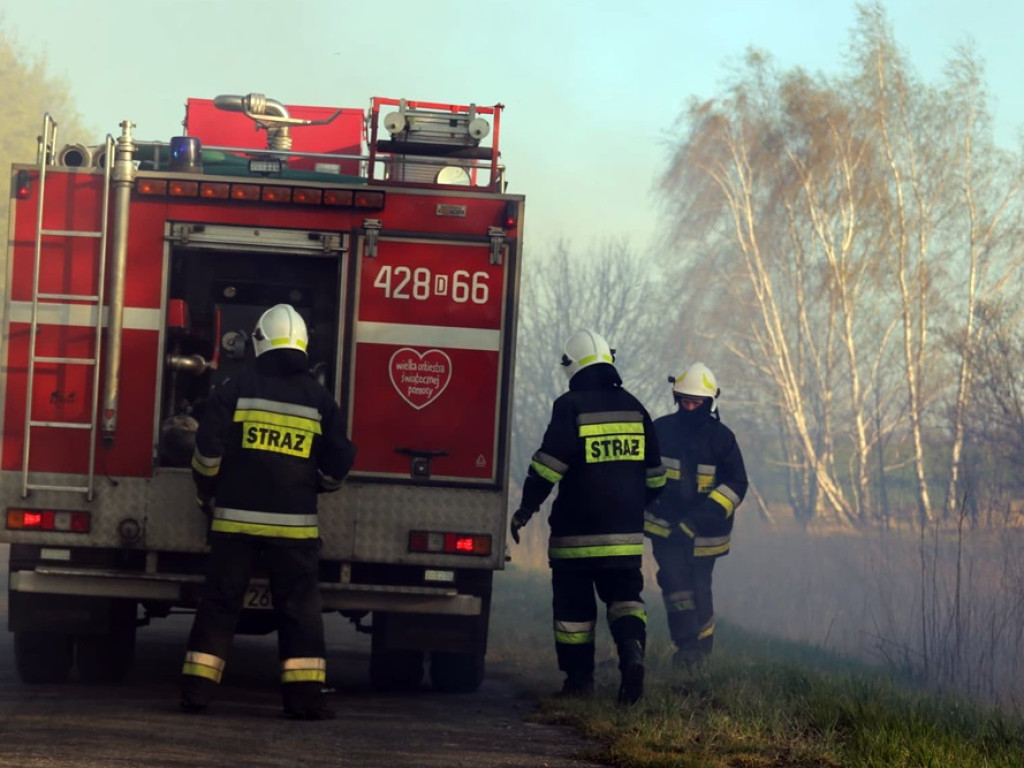 Pożar traw koło Żukowic. Udział w akcji wzięły dwa OSP z Brzegu Głogowskiego i Dobrzejowic