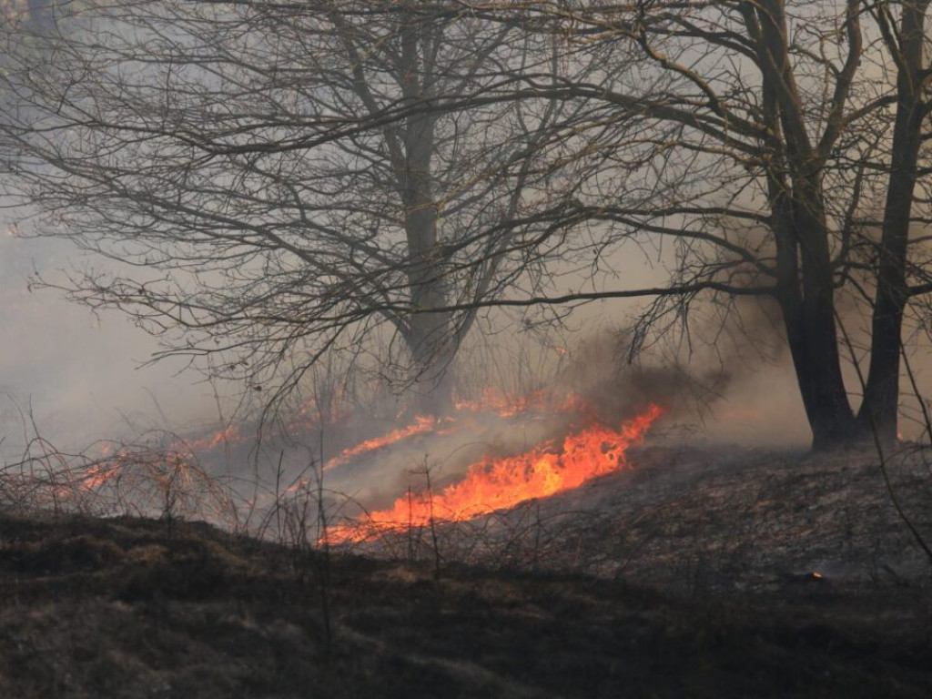 Ogromny pożar przy ulicy Krochmalnej. Płoną trawy i nieużytki