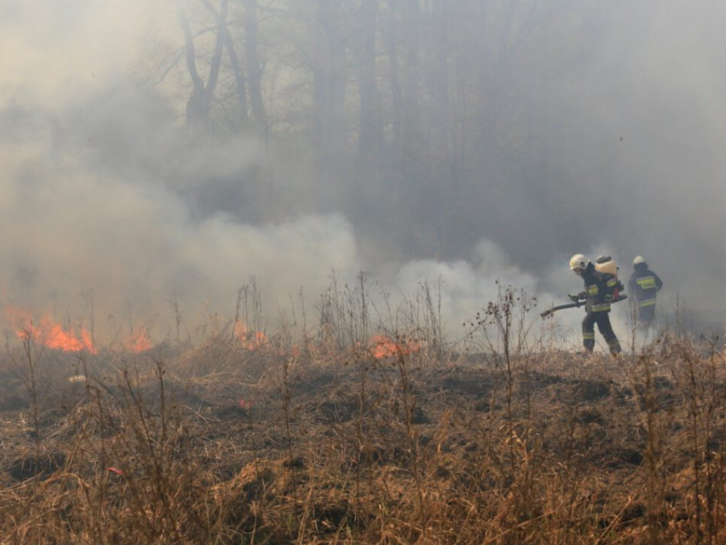 Ogromny pożar przy ulicy Krochmalnej. Płoną trawy i nieużytki