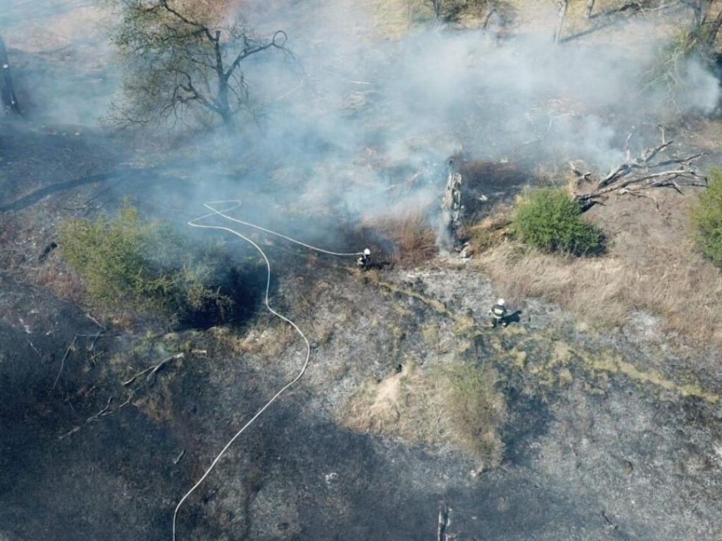 Ogromny pożar przy ulicy Krochmalnej. Płoną trawy i nieużytki