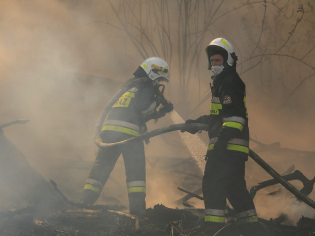 Ogromny pożar przy ulicy Krochmalnej. Płoną trawy i nieużytki