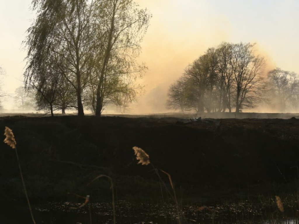 Wielki pożar na Biechowie. Strażacy walczą z ogniem. Dym widać z kilku kilometrów