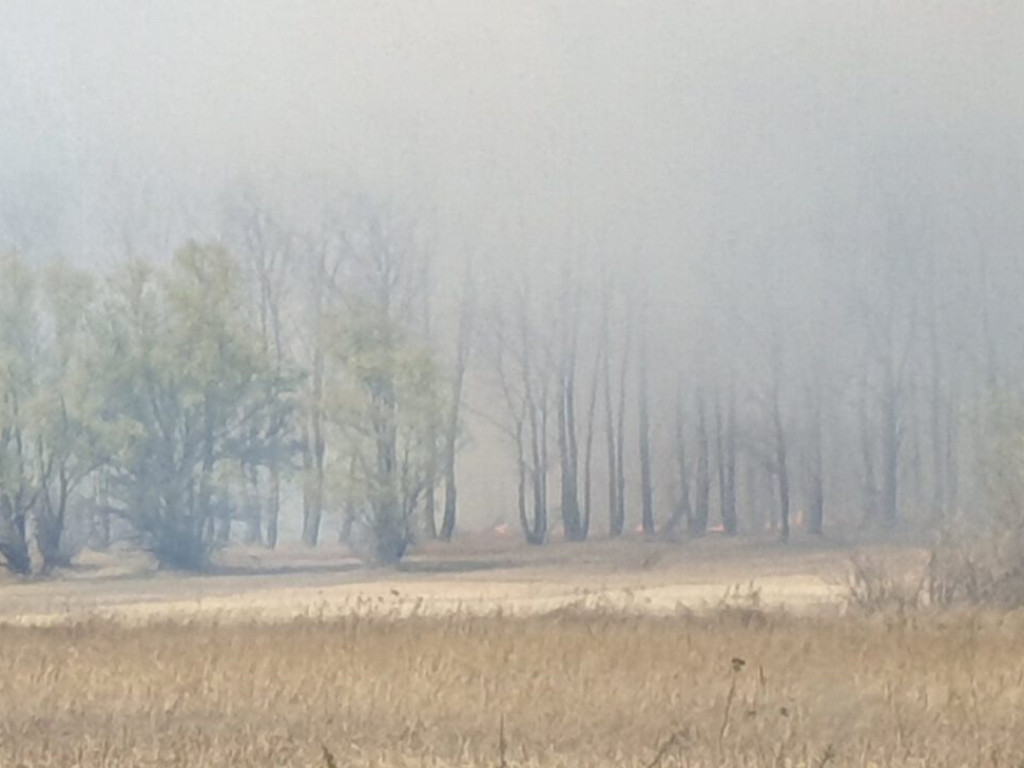 Wielki pożar na Biechowie. Strażacy walczą z ogniem. Dym widać z kilku kilometrów
