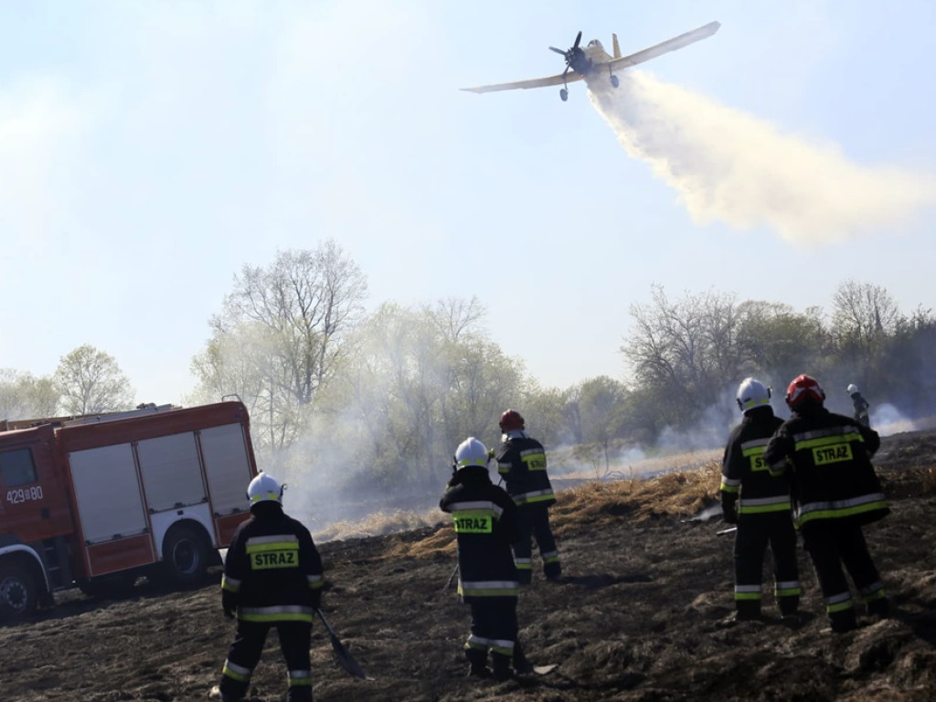 W akcji samolot gaśniczy i kilka zastępów strażaków. Pożar nieużytków