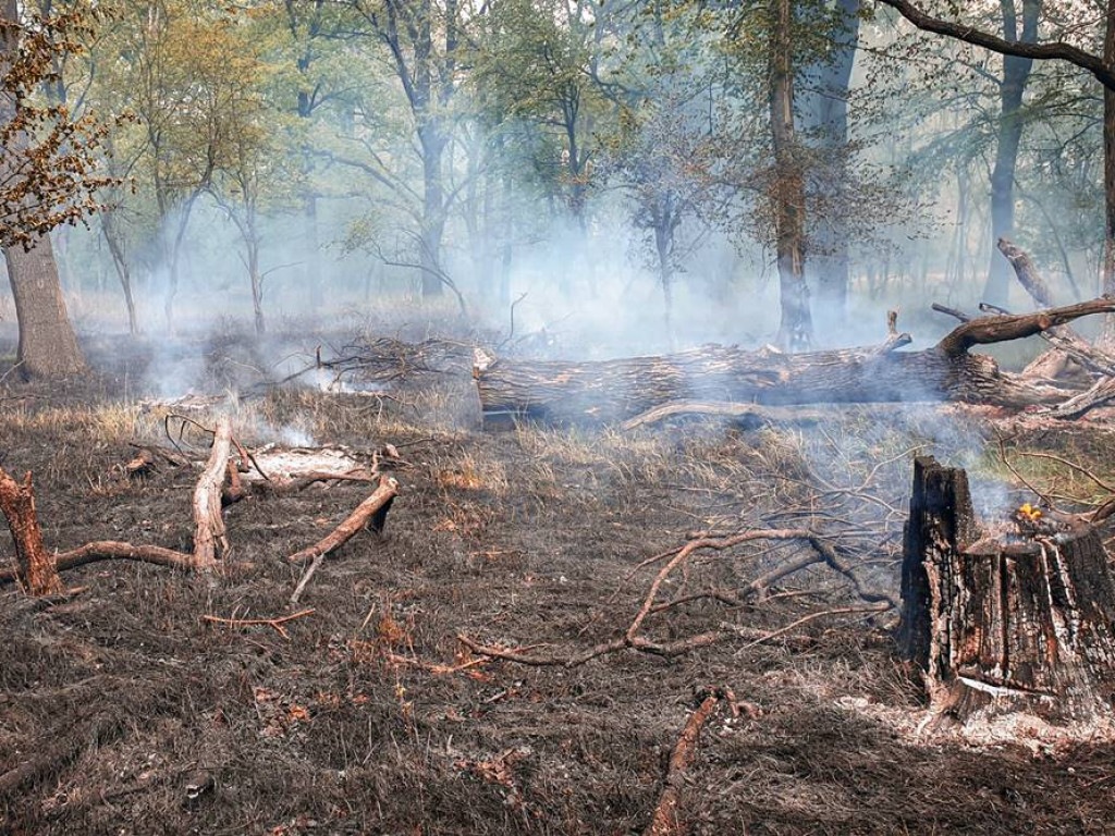 Cztery zastępy gasiły pożar przy ulicy Krochmalnej
