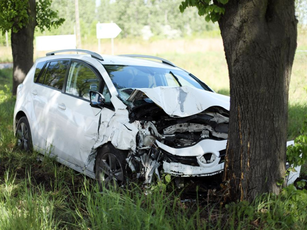 Wypadek na drodze 292. Toyota uderzyła w drzewo, kierowca w szpitalu