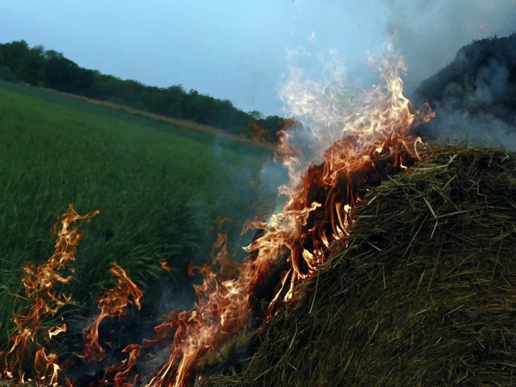 Kolejny pożar stogu! Płonie ponad 200 balotów słomy w gminie Grębocice