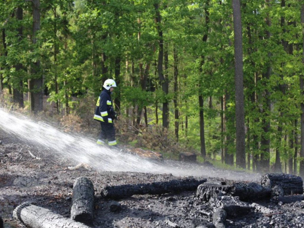 Samoloty gaśnicze w akcji! Płonie drewno nieopodal Góry św. Anny