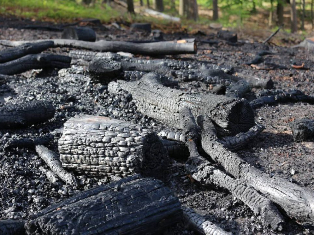 Samoloty gaśnicze w akcji! Płonie drewno nieopodal Góry św. Anny
