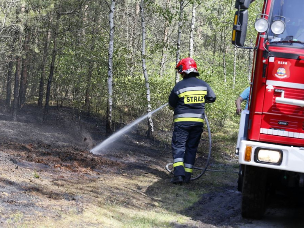 Kolejny pożar lasu. Tym razem koło Krążkowa