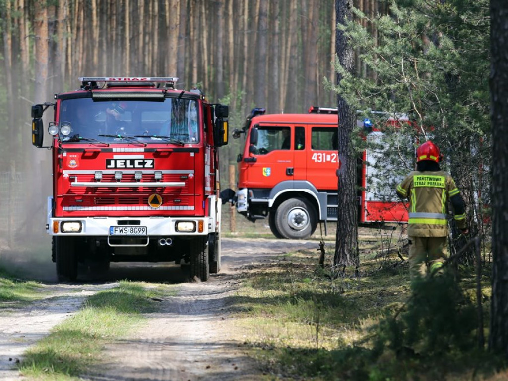 Kolejny pożar lasu. Tym razem koło Krążkowa