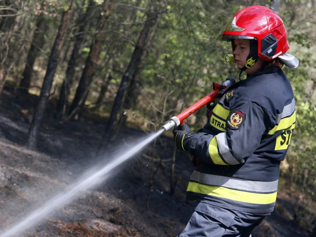 Kolejny pożar lasu. Tym razem koło Krążkowa
