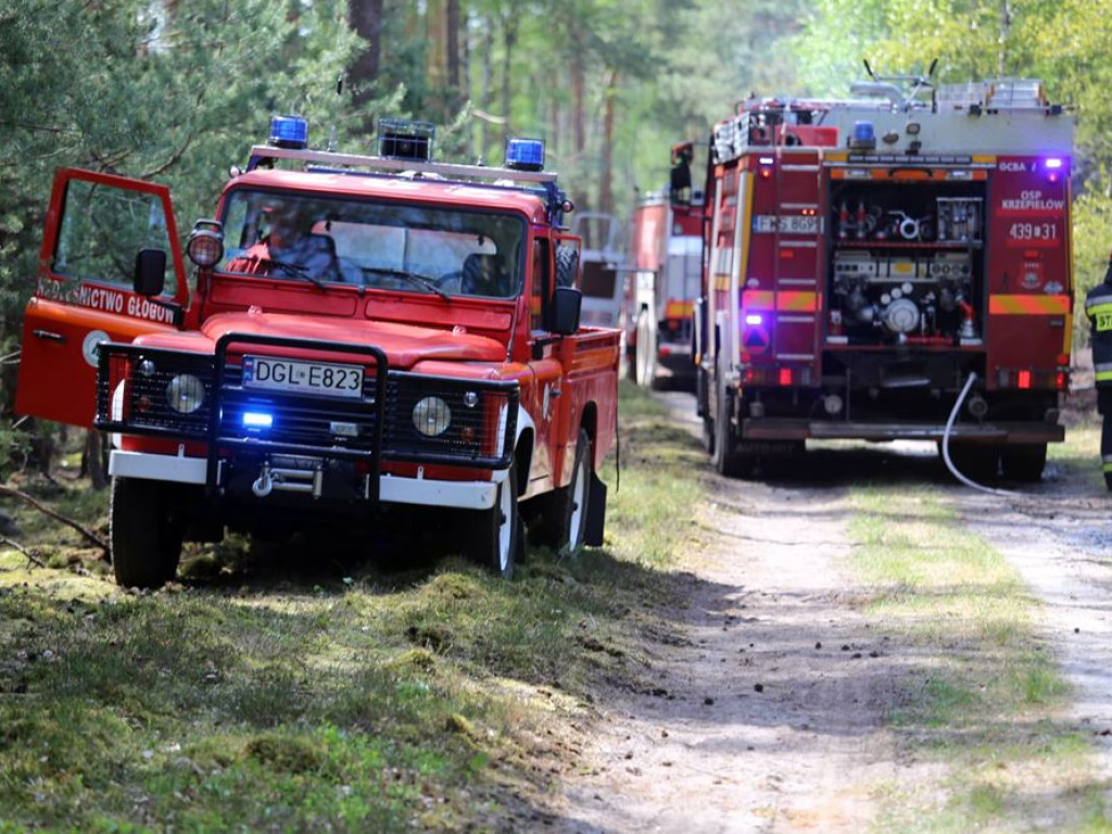 Kolejny pożar lasu. Tym razem koło Krążkowa