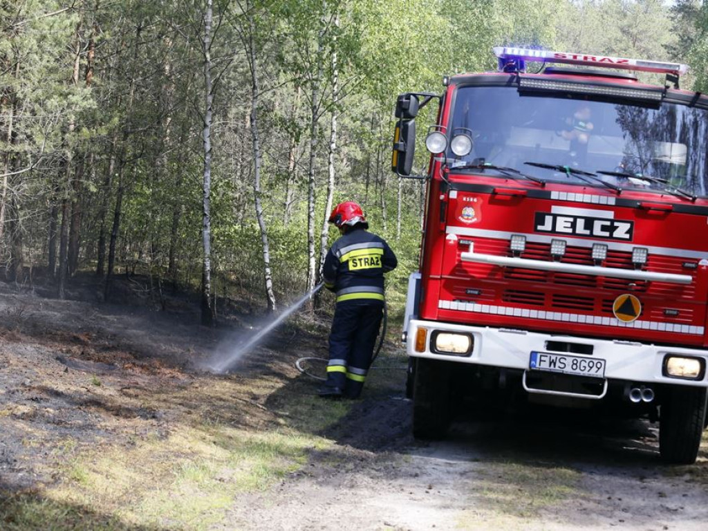 Kolejny pożar lasu. Tym razem koło Krążkowa