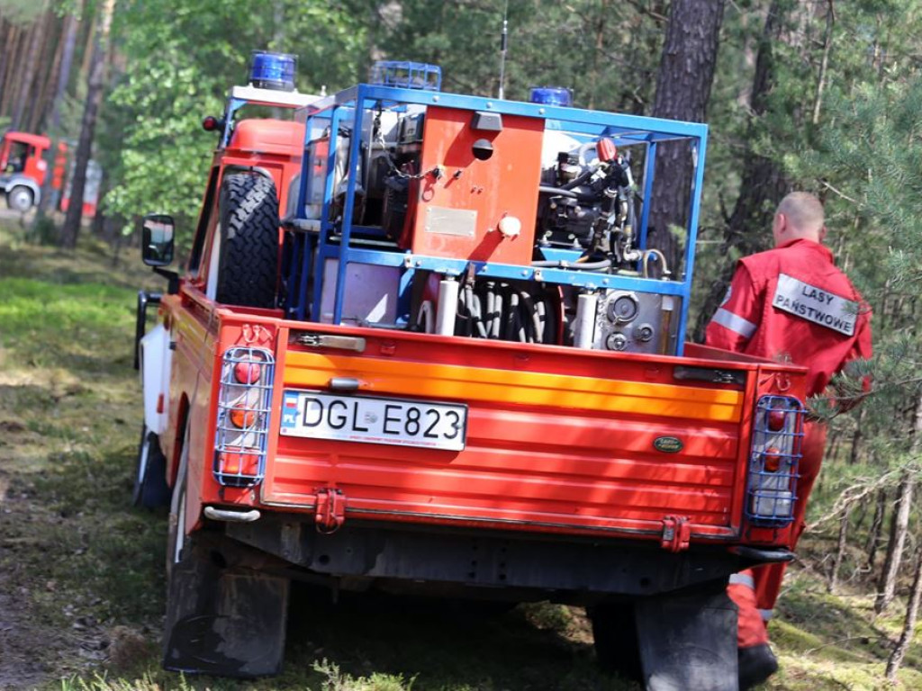 Kolejny pożar lasu. Tym razem koło Krążkowa
