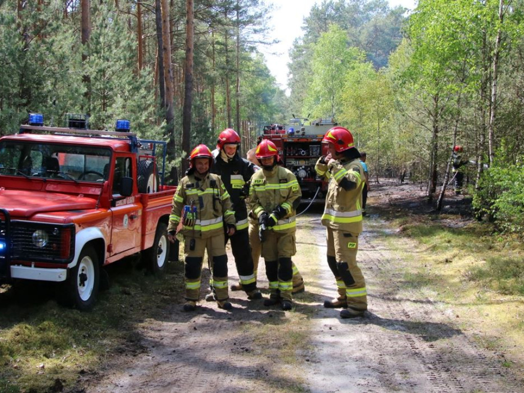 Kolejny pożar lasu. Tym razem koło Krążkowa