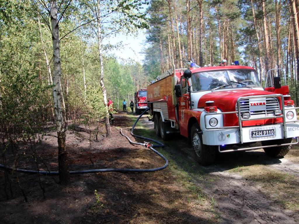 Kolejny pożar lasu. Tym razem koło Krążkowa