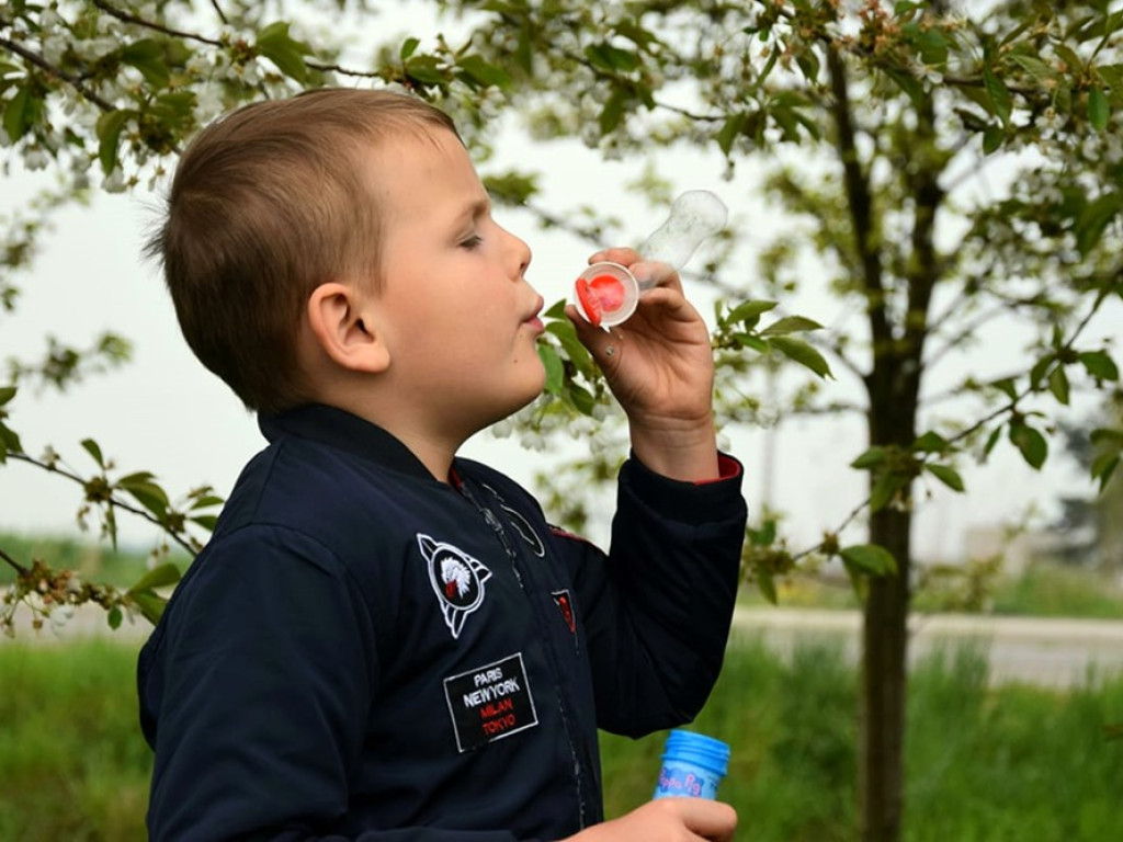 Piękne zdjęcia! Dzieci z gminy Pęcław wzięły udział w konkursie