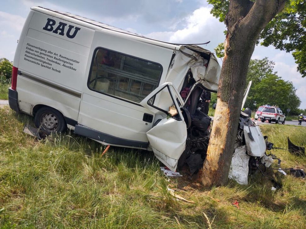 Auto uderzyło w drzewo. Trzy osoby trafiły do szpitala