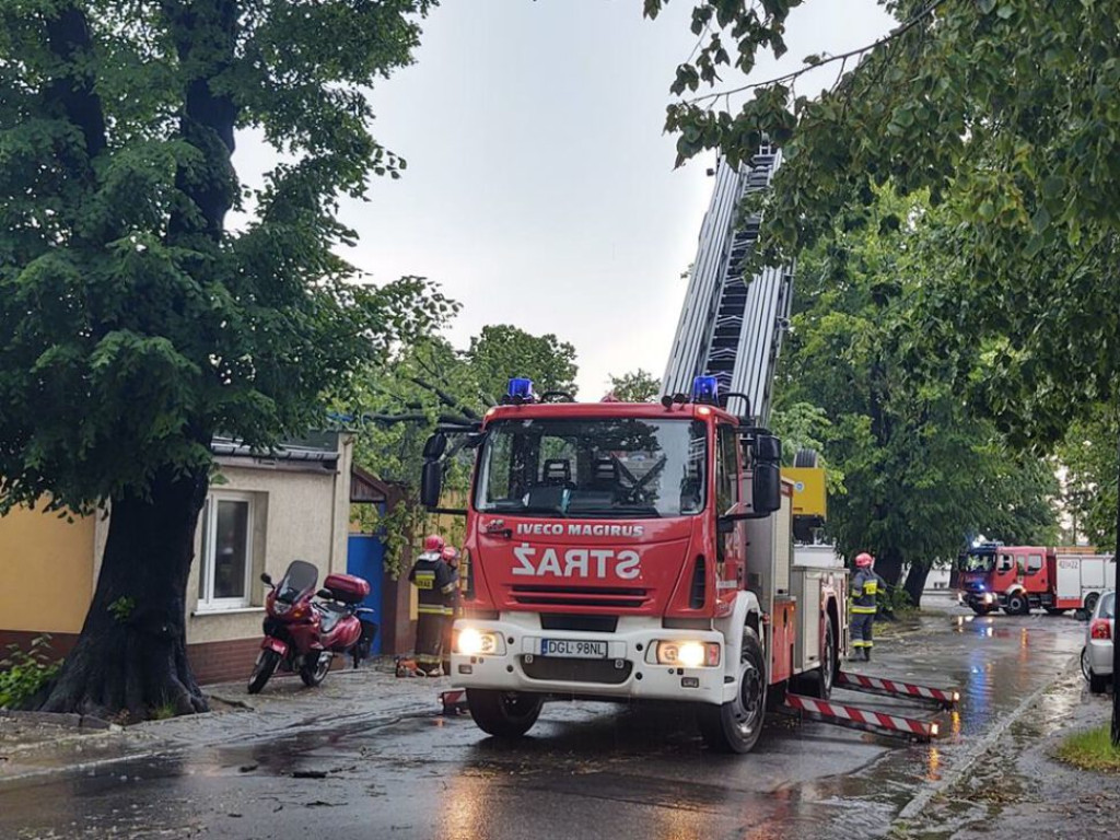 Spadło drzewo i uszkodziło dwa samochody