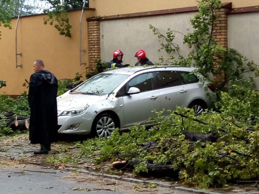 Spadło drzewo i uszkodziło dwa samochody